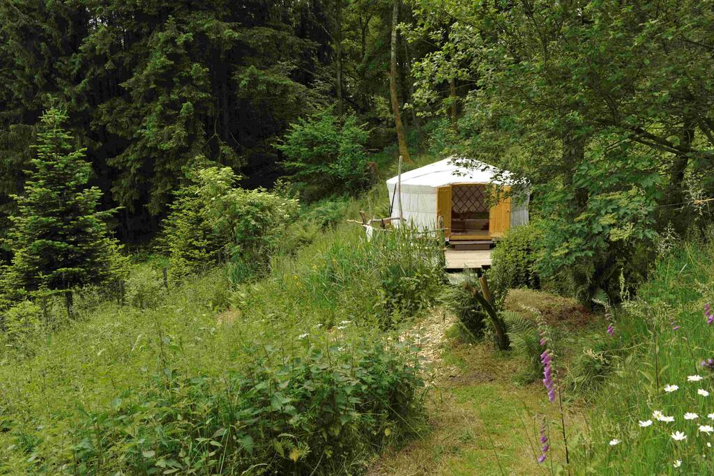 Die Jurte steht in unserem Garten.