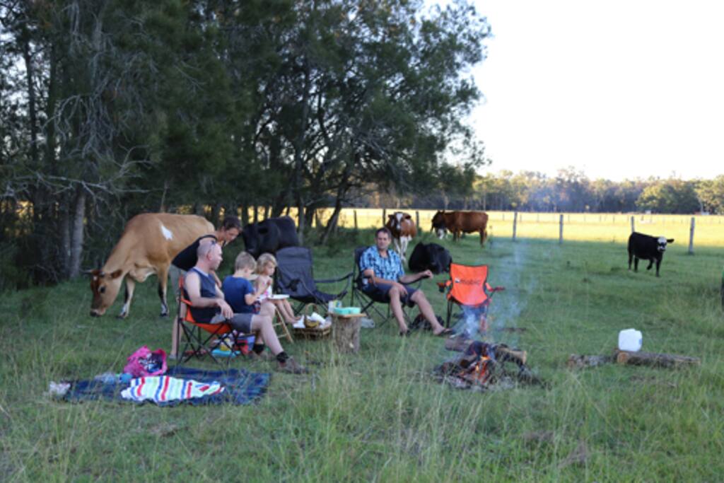 Enjoy a campfire or picnic by the creek