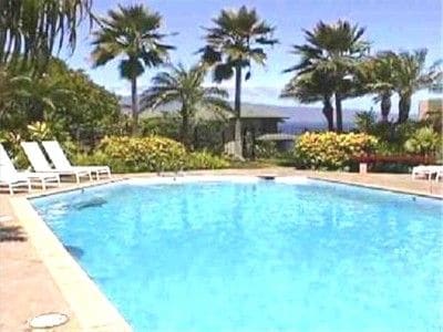 A swimming pool is surrounded by lush palm trees and tropical plants, offering a serene outdoor setting. Clear blue water reflects the sunlight, enhancing the space. Lounge chairs are positioned alongside the pool for relaxation, creating a peaceful atmosphere for enjoyment.
