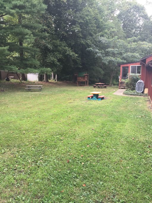 Backyard of acre lot.