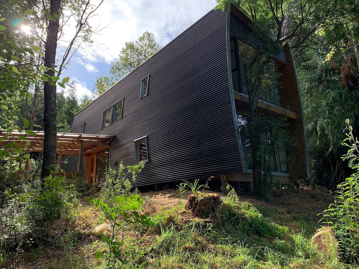 A modern house with a sleek design is set within a lush, green forest. Large windows are visible, allowing natural light to enter. The surrounding area features a mix of trees and vegetation, contributing to an inviting natural setting.