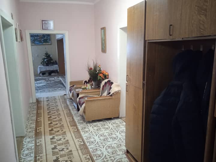 Village Life - Карпати