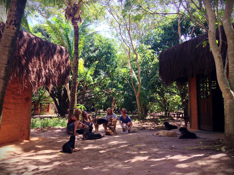 The Retreat offers two little ecological earth lodges constructed in a traditional Native Indian style with thatched roofs, but equipped with modern facilities and internet access... Bahia_Brazil.