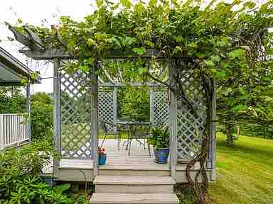 A charming outdoor pergola adorned with lush grapevines extends over a small deck area. Underneath, a table and chairs are positioned for seating, surrounded by potted plants. The backdrop features expansive grassy fields and a peaceful view of the surroundings.