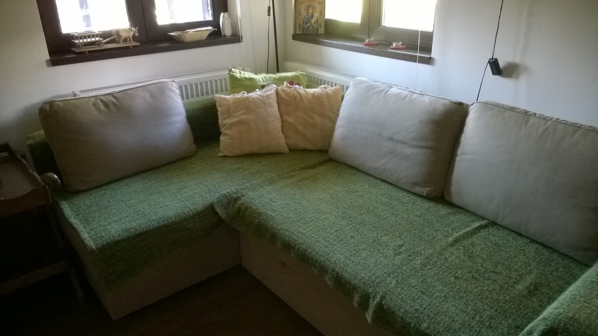 Sofá cama en la sala de estar