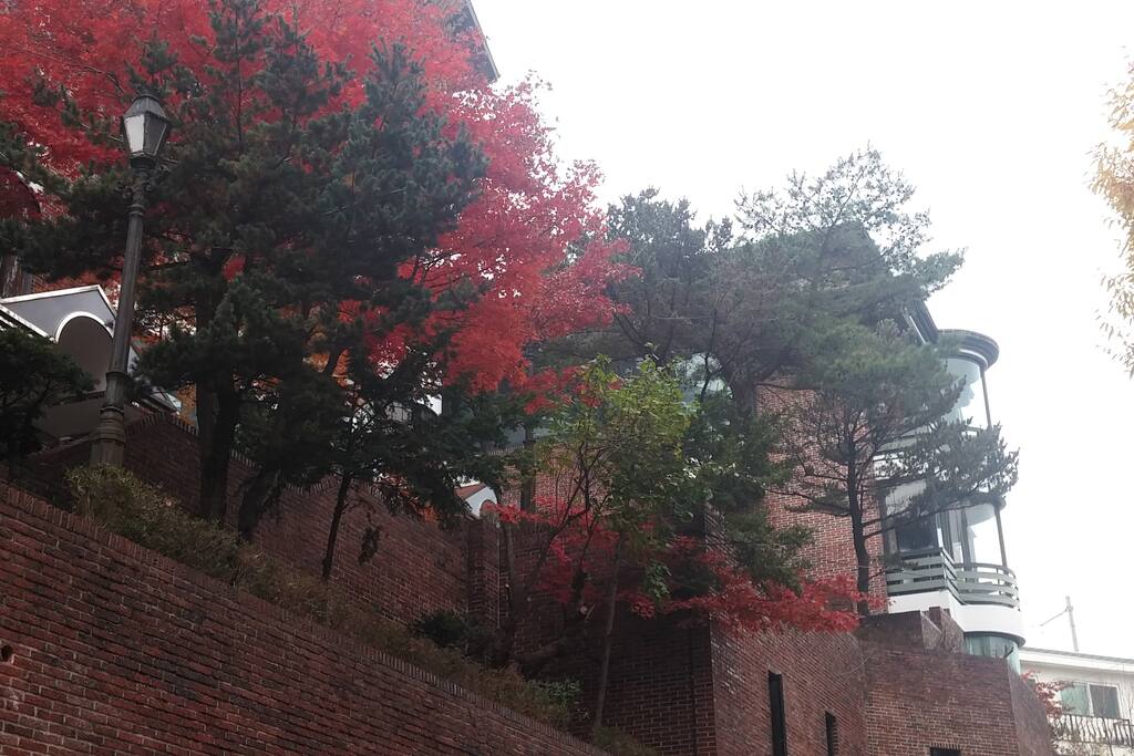 Outside The House