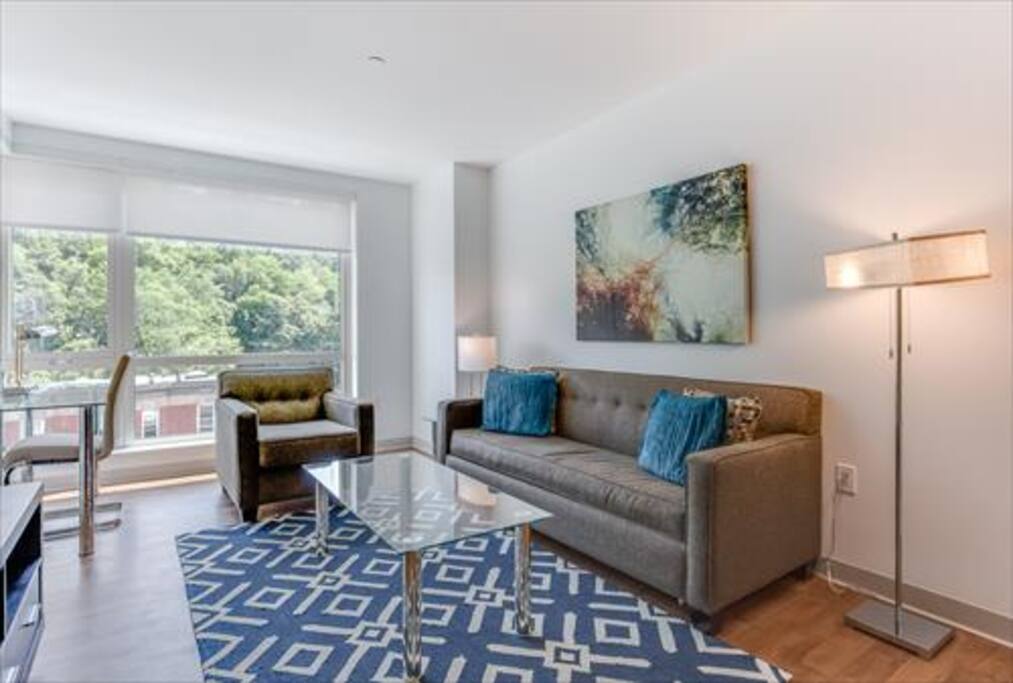 Comfortable living area with pullout sofa bed, and club chair