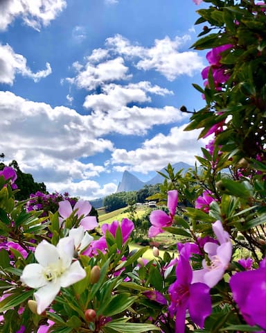 Entire home with 2 bedrooms in Domingos Martins - Casa Bologna, em Pedra Azul.