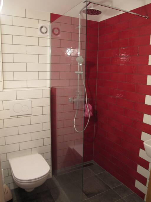 Brand new bathroom.