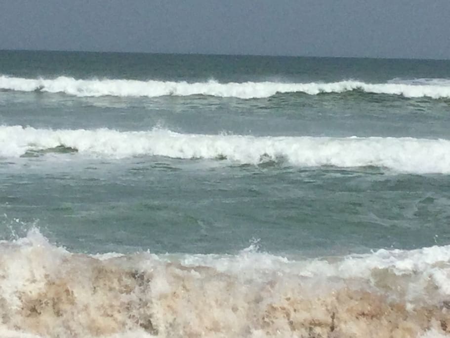 Enjoy ocean breezes, shell collecting, sunbathing,surfing, wind sailing, boating, swimming, fishing and birding along the Great Atlantic only a
few blocks away!