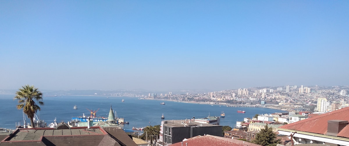 A panoramic view of the coastline is presented, showcasing the shimmering waters and various boats on the horizon. The vibrant city of Valparaíso is visible in the background, complemented by the clear blue sky. A palm tree is positioned in the foreground.