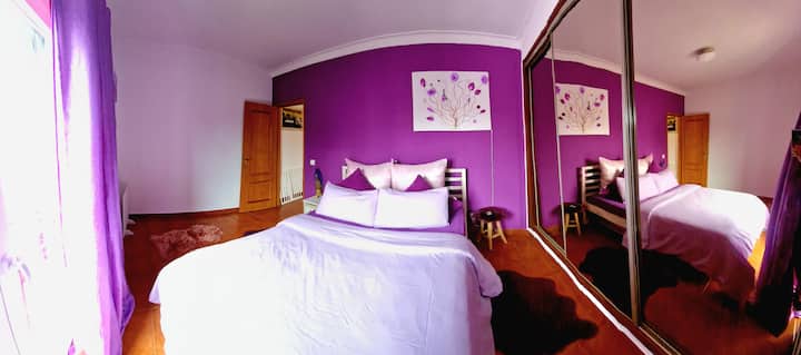 Იისფერი  ორადგილიანი საძინებელი (1 სართული) 

Იისფერი ორადგილიანი ნომერი (1 სართული)