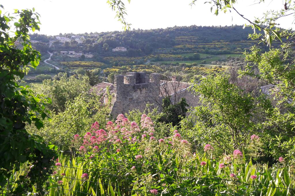 Vue sur les Dentelles de Montmirail