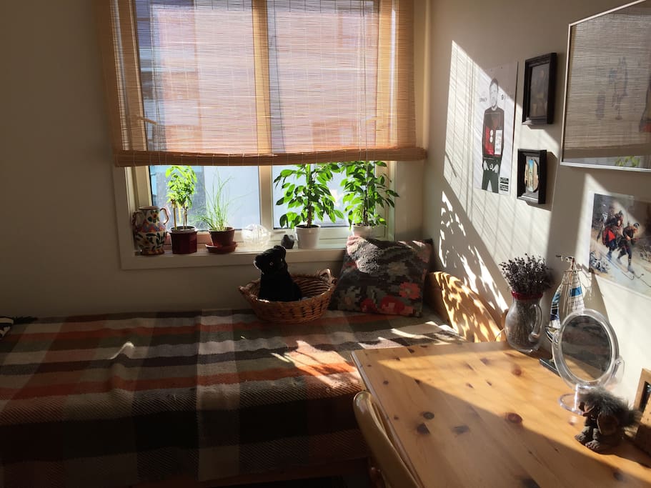 The room is not big, but cozy and have windows to the west