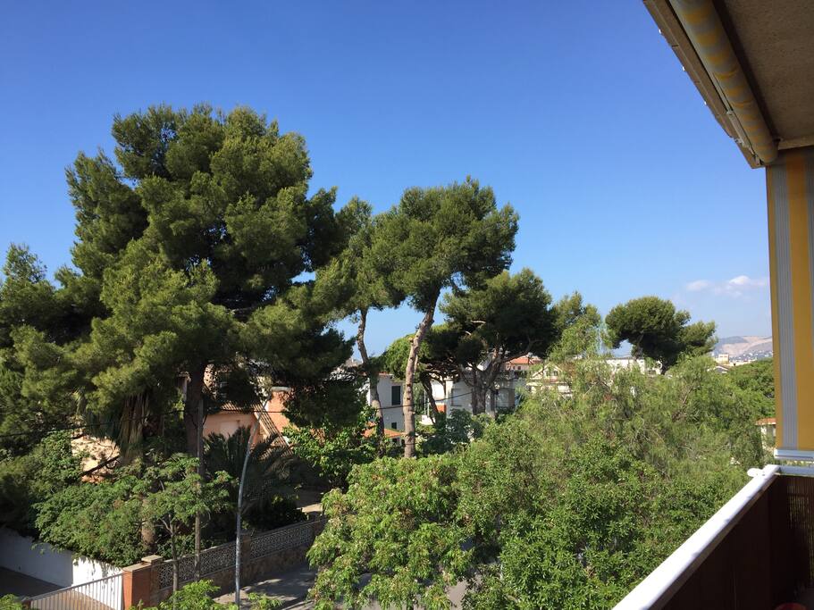 Vistas Terraza