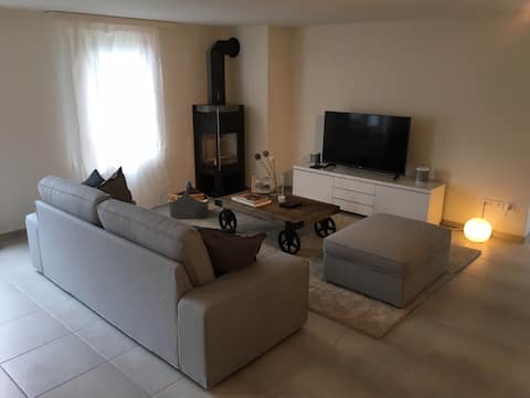 Ferienhaus Grüner Heinrich (Andermatt)