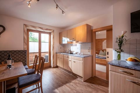 Apartment Ines - 800 m from the ski resort