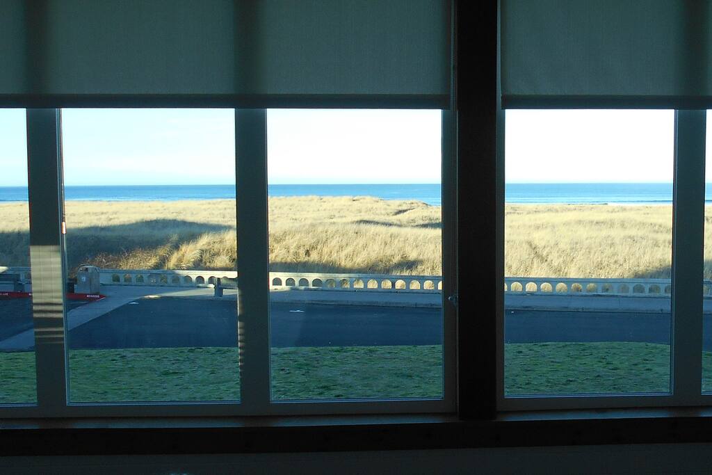 View from Sun Room