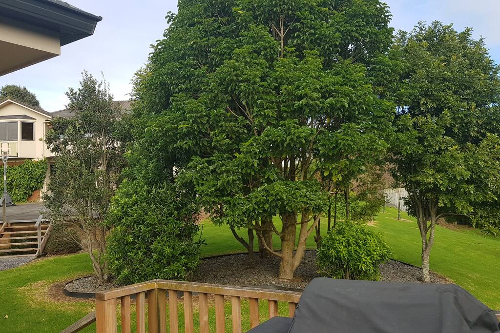 View from Deck towards main house