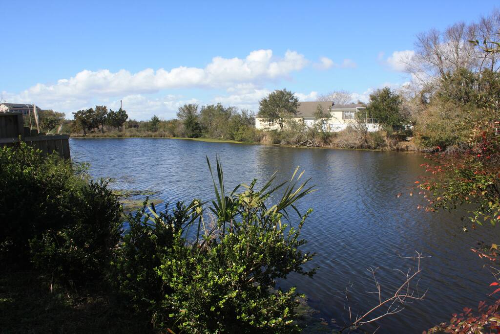 View from yard