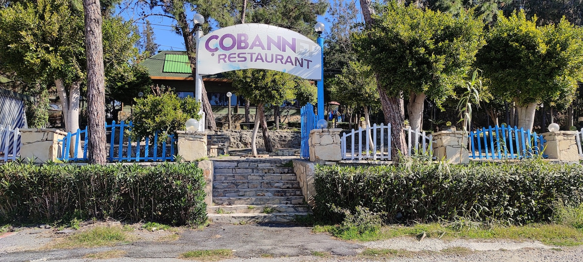 The entrance to Cobann Restaurant is framed by greenery and features a welcoming sign above a stone staircase. Flanking the steps, blue and white fences accentuate the pathway leading to the dining area, which is surrounded by trees and well-kept shrubs.