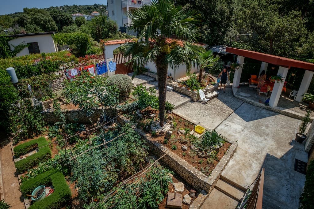 Garden and yard