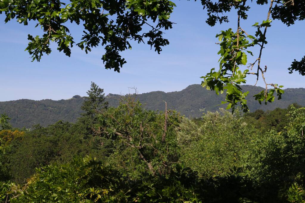 View from Kitchen and living room. Sonoma Mountain