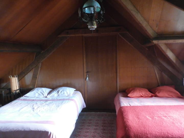 Attic bedroom with two 140cm beds with access to the bathroom 
