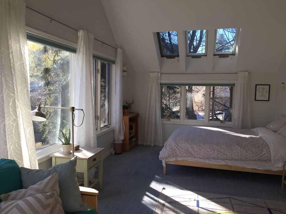Lots of light from large windows and skylights.