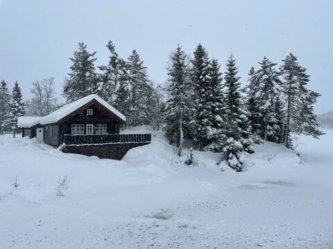 Holiday cottage close to the ski lift
