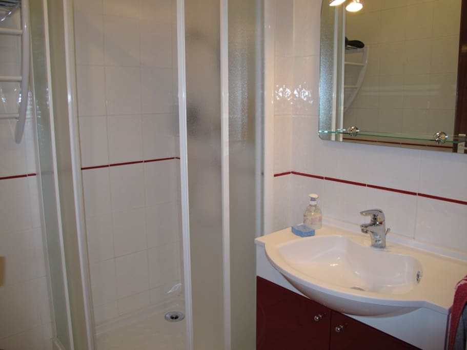 salle de bain avec cabine de douche