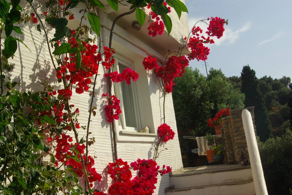 the house