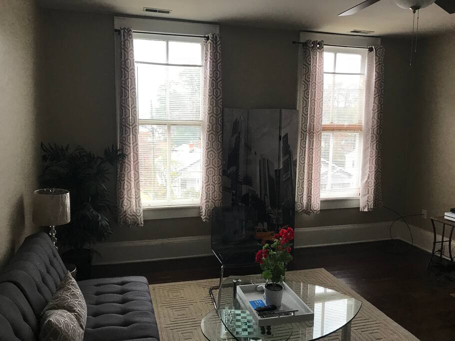 Living Room with sleeper futon (side view)