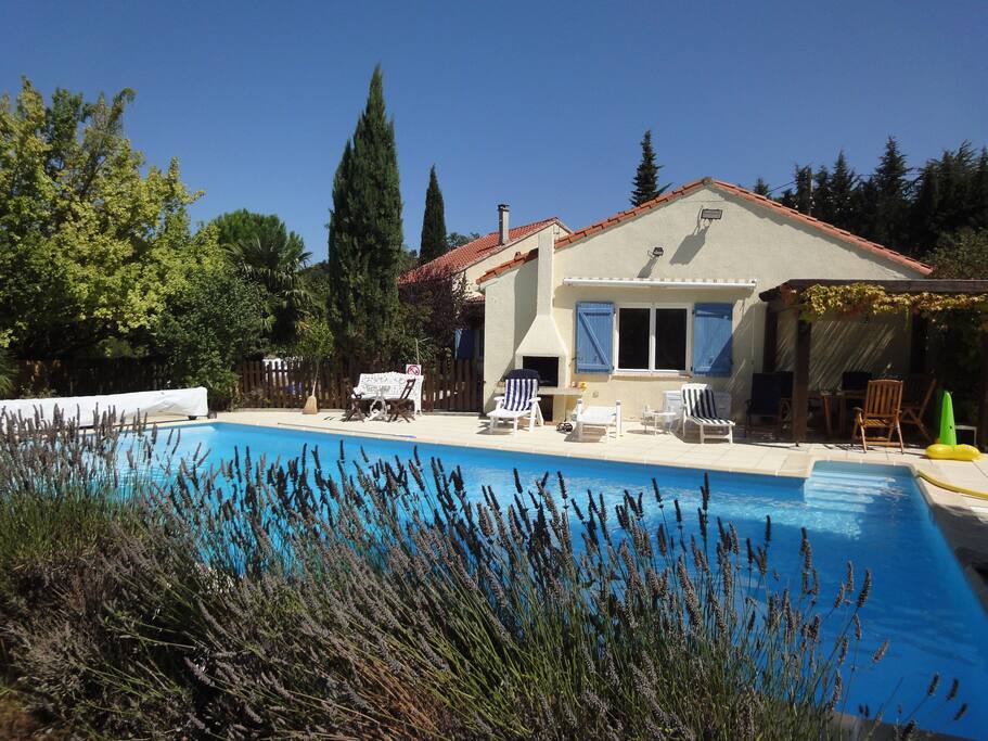The pool.