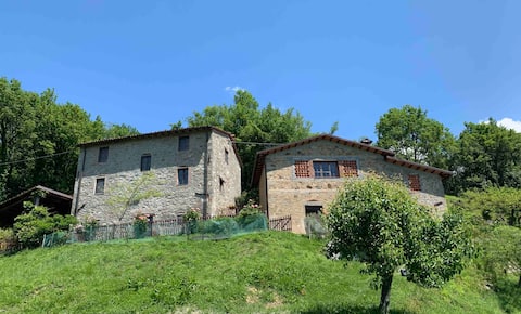 Casa Elena di Fucchi, pool in the Garfagnana Region