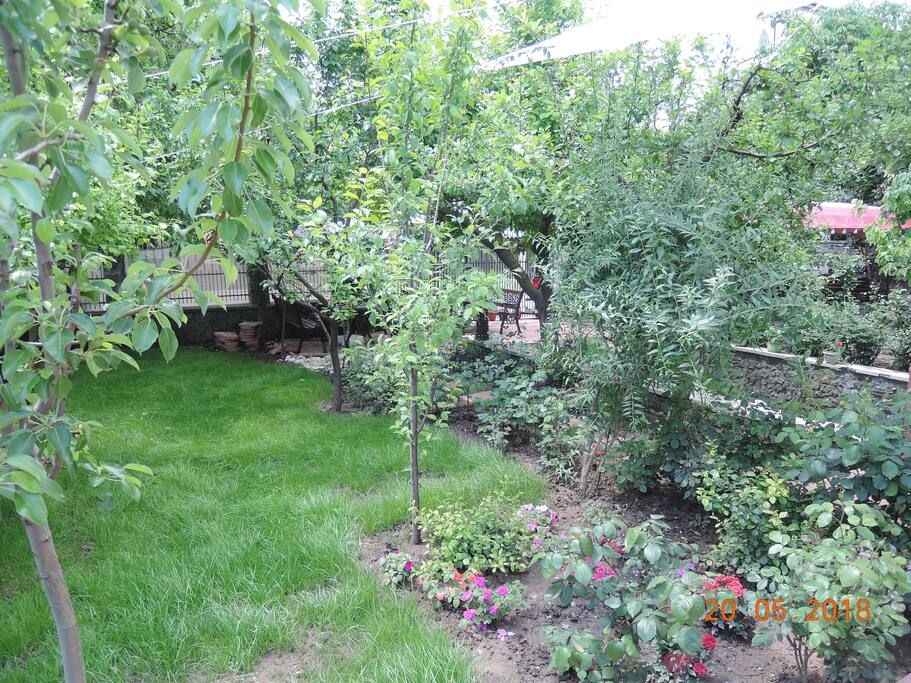 Garden/May20, 2018