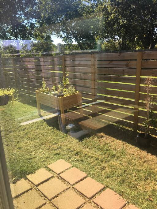 Backyard