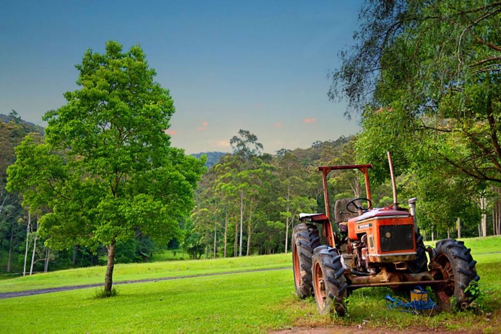 Farm