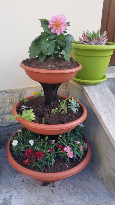 particolare del giardino