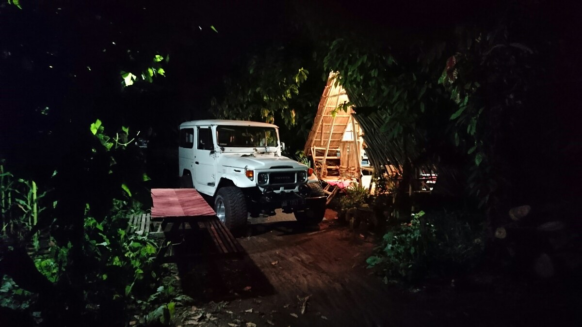 A vintage white SUV is parked on a wooden platform surrounded by lush greenery at night. Soft light emanates from a nearby structure, illuminating part of the scene. The atmosphere is calm, with natural elements framing the vehicle.