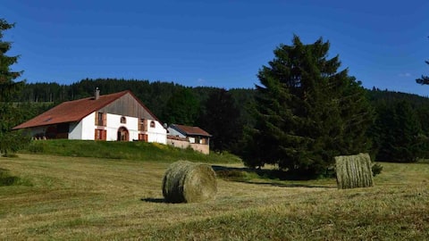 Vosges farm 10 minutes from Lake Gérardmer