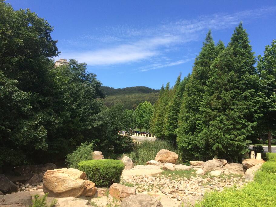 溪之谷内一景,松柏环湖而不知寒来暑往:P
