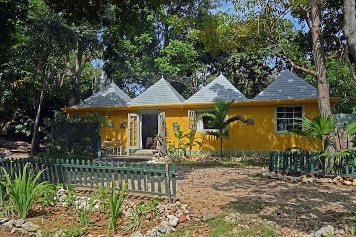 Spacious Studio Cottage W Ocean Access Jamaica Guesthouses For