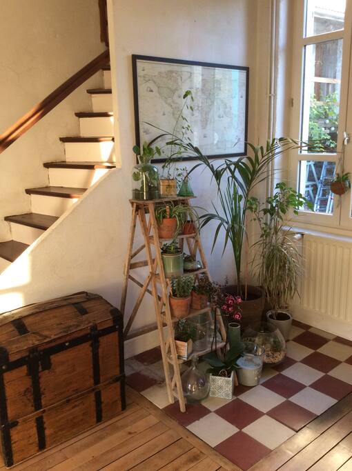 Salon