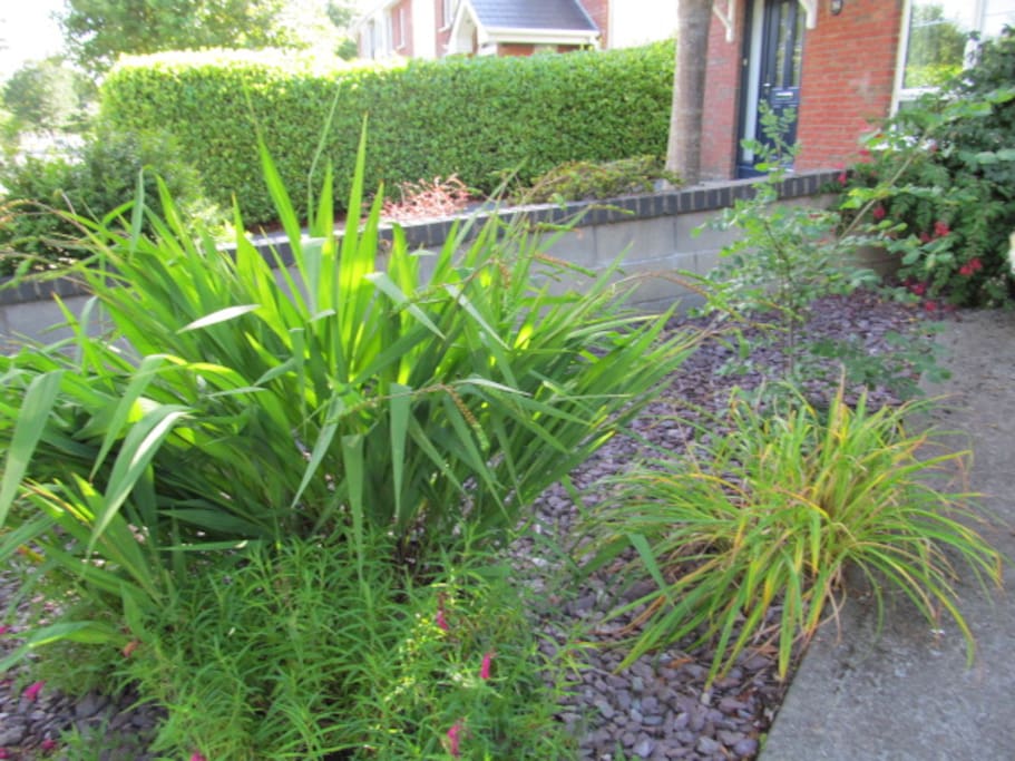 Front garden