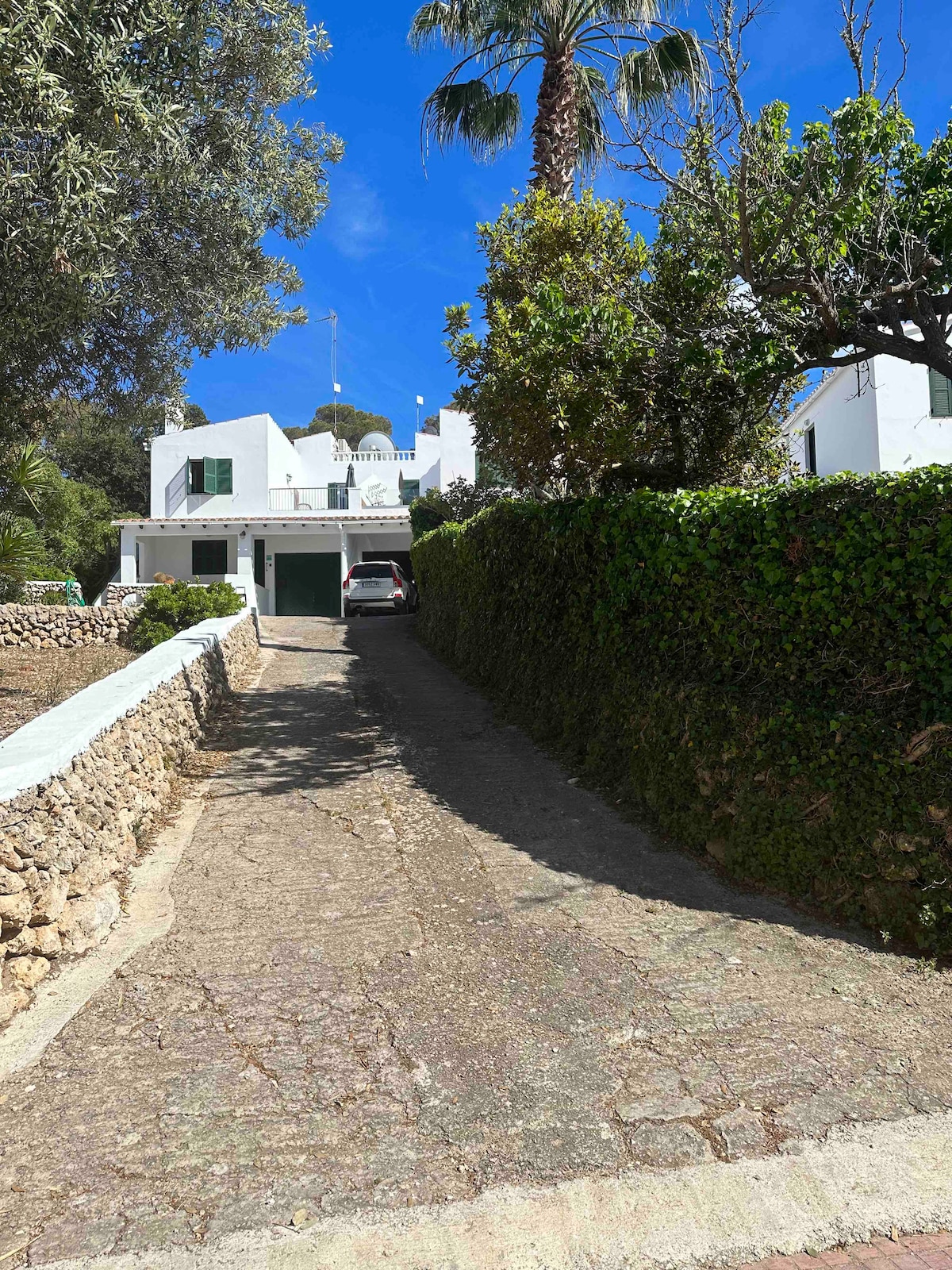 A driveway is flanked by greenery, leading up to a white building with green shutters. Palm trees and shrubs provide a lush backdrop, while a car is parked in front of the structure, enhancing the inviting appearance of the property.