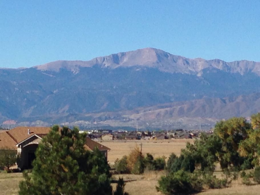Purple Mountains Majesty