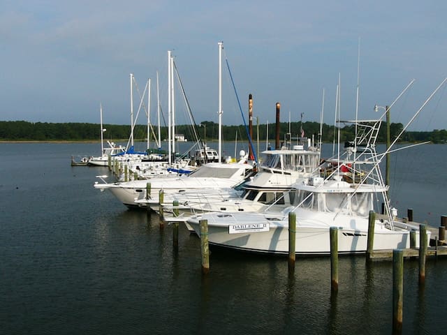 Airbnb Taylors Island Vacation Rentals Places To Stay