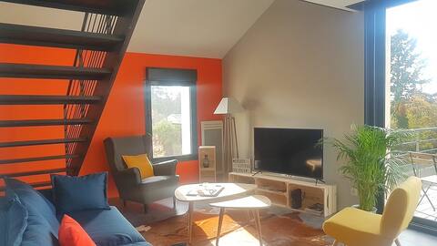 Loft with terrace between Eurexpo and St Exupéry