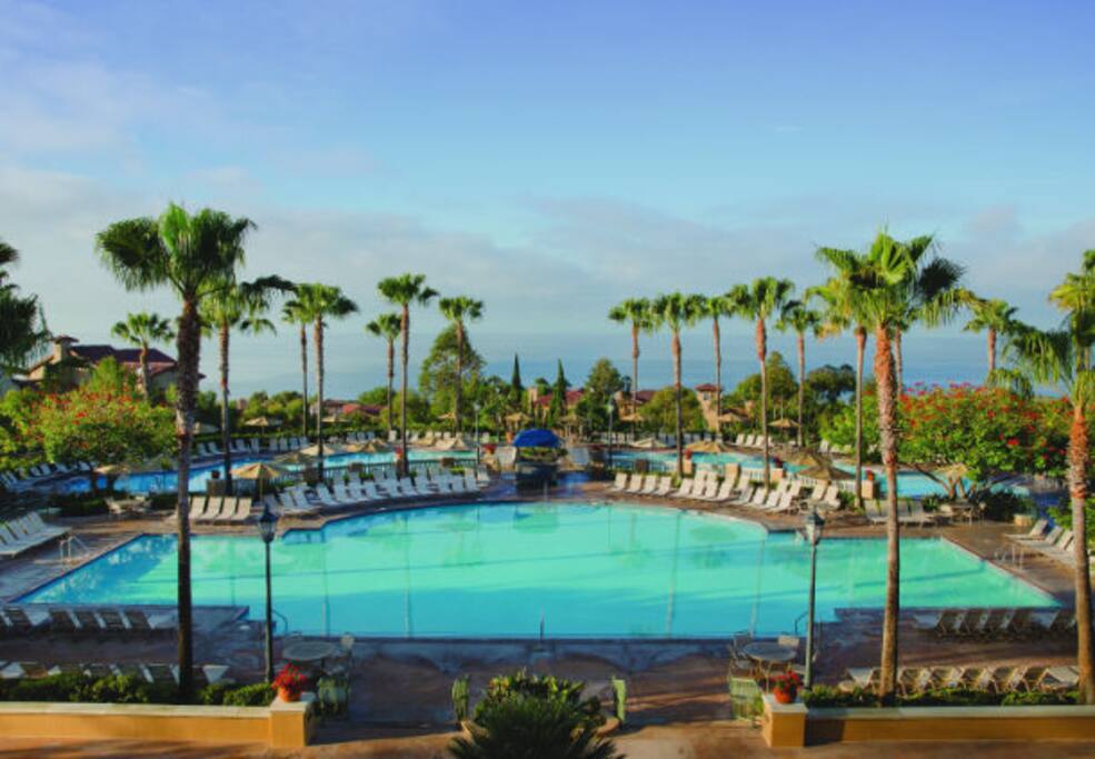 Pool and ocean in the background